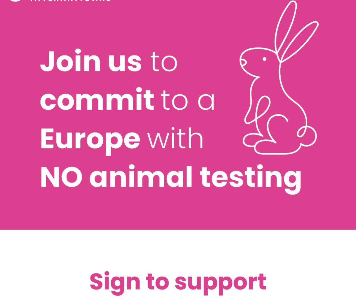 end animal testing