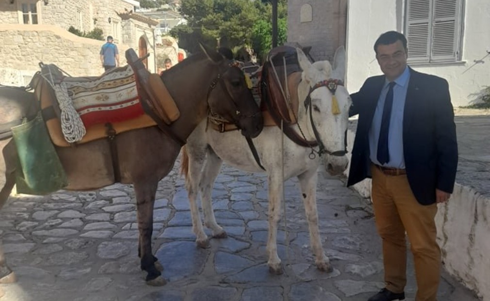 Δήμαρχος Ύδρας