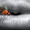 Το μυστικό για να διώξετε με φυσικό τρόπο τα κουνούπια