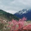 Ευρυτανία: Το παραμυθένιο χωριό με το παράξενο όνομα, τα πλατάνια και τα τρεχούμενα νερά