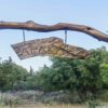 Ιθάκη: Τα μεγαθήρια μενίρ που βρίσκονται σε ελληνικό νησί
