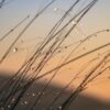 Τι επιφυλάσσουν σήμερα τα άστρα για κάθε ζώδιο