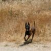 ANUBIS: Πετάνε στον δρόμο την εθελοντική ομάδα που «ξεσκέπασε» το μπάζωμα των Τεμπών